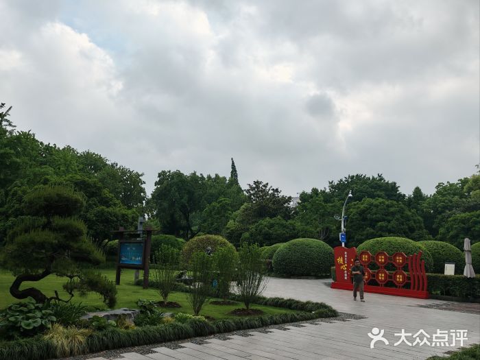 月湖公园图片
