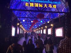 -广州长隆国际大马戏