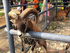 -长白岛森林公园