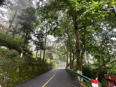 -莫干山风景区