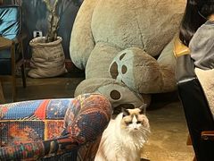 -咖法森林·咖啡  酒吧(天河店)