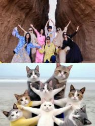 -单色舞蹈