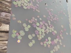 -梁鸿国家湿地公园