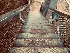 -东莞植物园