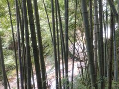 -大围山国家森林公园