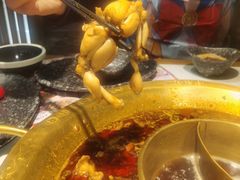 -哥老官重庆美蛙鱼头(宝山龙湖店)