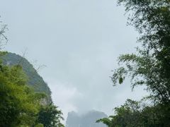 -明仕田园