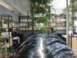 -青禾造型&刺青