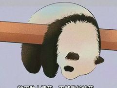 -吕氏疙瘩汤·新鲁菜(潍坊银座店)