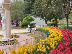 -洛阳郁金香牡丹园