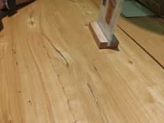 -油梨树AVOCADO TREE(望京店)