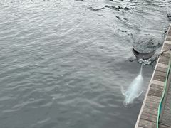 -鹿儿岛水族馆