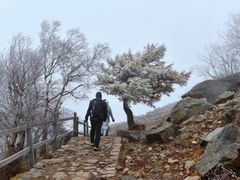 -灵山