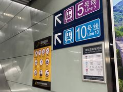 -宋家庄(地铁站)