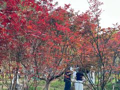 -广州市帽峰山景区