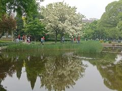 -泰丰公园
