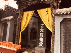 -大槐树寻根祭祖园