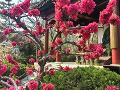 -李叔同故居纪念馆
