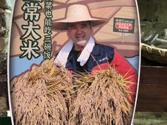 -农耕记·湖南土菜(halo广场店)