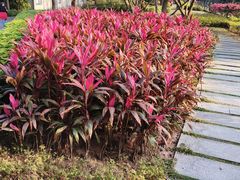 -晓港公园