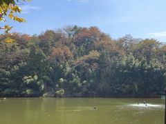 -杭州野生动物世界