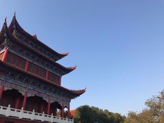 -开福禅寺