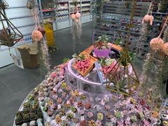 -KKV(深圳kk one 店)