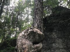 -汤旺河林海奇石景区