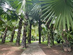 -中国科学院西双版纳热带植物园