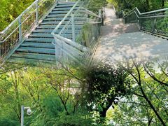 -佛山华盖山公园
