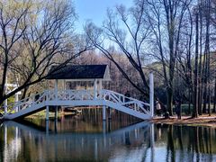 -上海共青森林公园