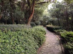 iphone_upload_pic-上海市保健医疗中心(华东疗养院)