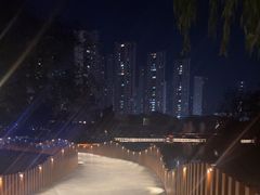 -青枫公园