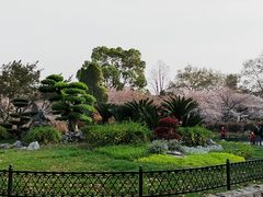 -堤角公园