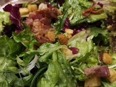 -Tubestation站点比萨(五道营店)