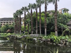-昆明洲际酒店