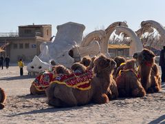 -镇北堡西部影城