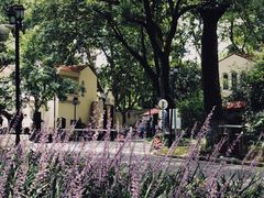 -上海汾阳花园酒店