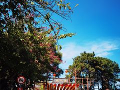 -广州莲花山旅游区