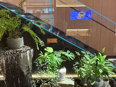 -连鹭海鲜·海肠捞饭·海胆饭(星海店)