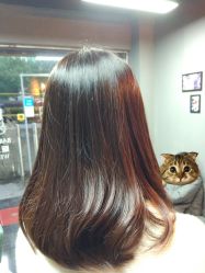 -阪川造型salon