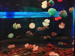 -多彩贵州城极地海洋世界