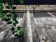 -乌江画廊(彭水苗族土家族自治县)