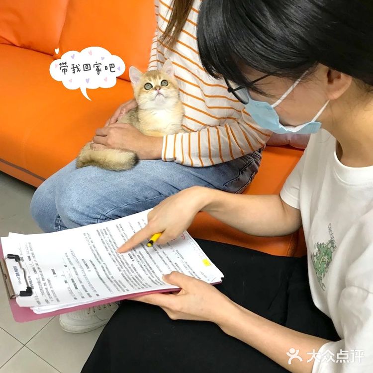 🐱我也变成铲屎官一枚了..小宝贝跟我肥家le…