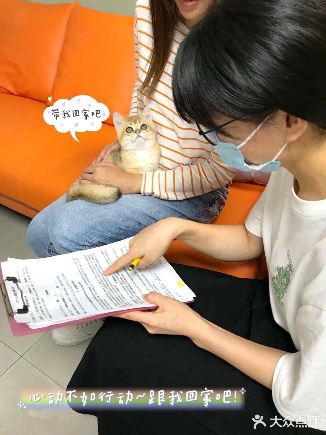 🐱我也变成铲屎官一枚了..小宝贝跟我肥家le…