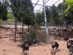 -开元溶洞