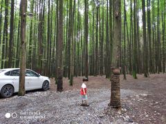 -山王坪喀斯特国家生态公园