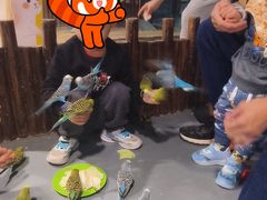 -顺德南宏海立方海洋公园