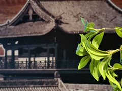 -杏花堂晋商私房菜(华熙五棵松店)