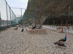 -南京金牛湖风景区